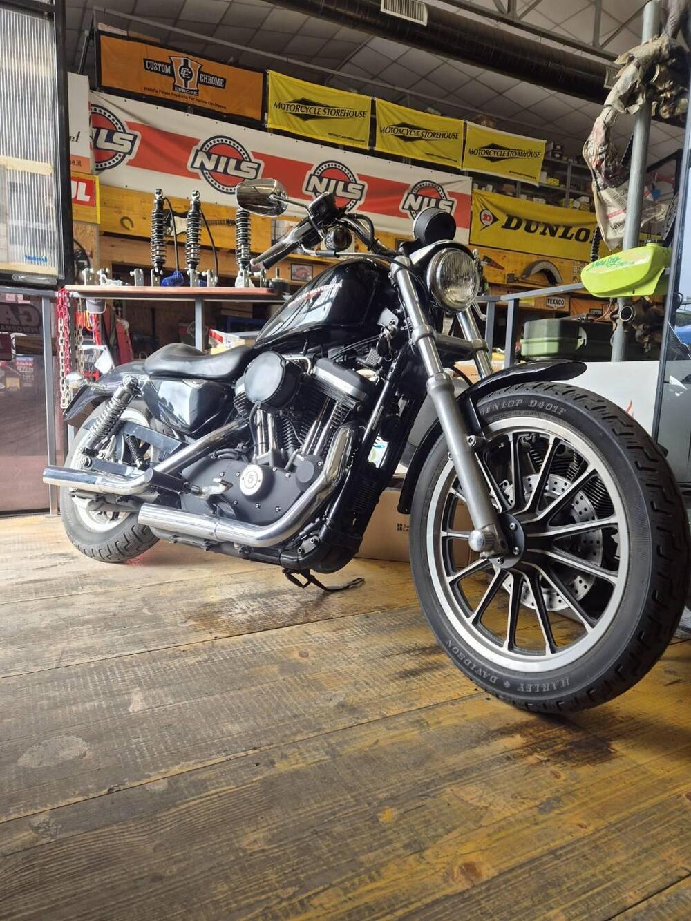 Harley-Davidson 883 Standard (2001 - 05) - XL 883 (2)