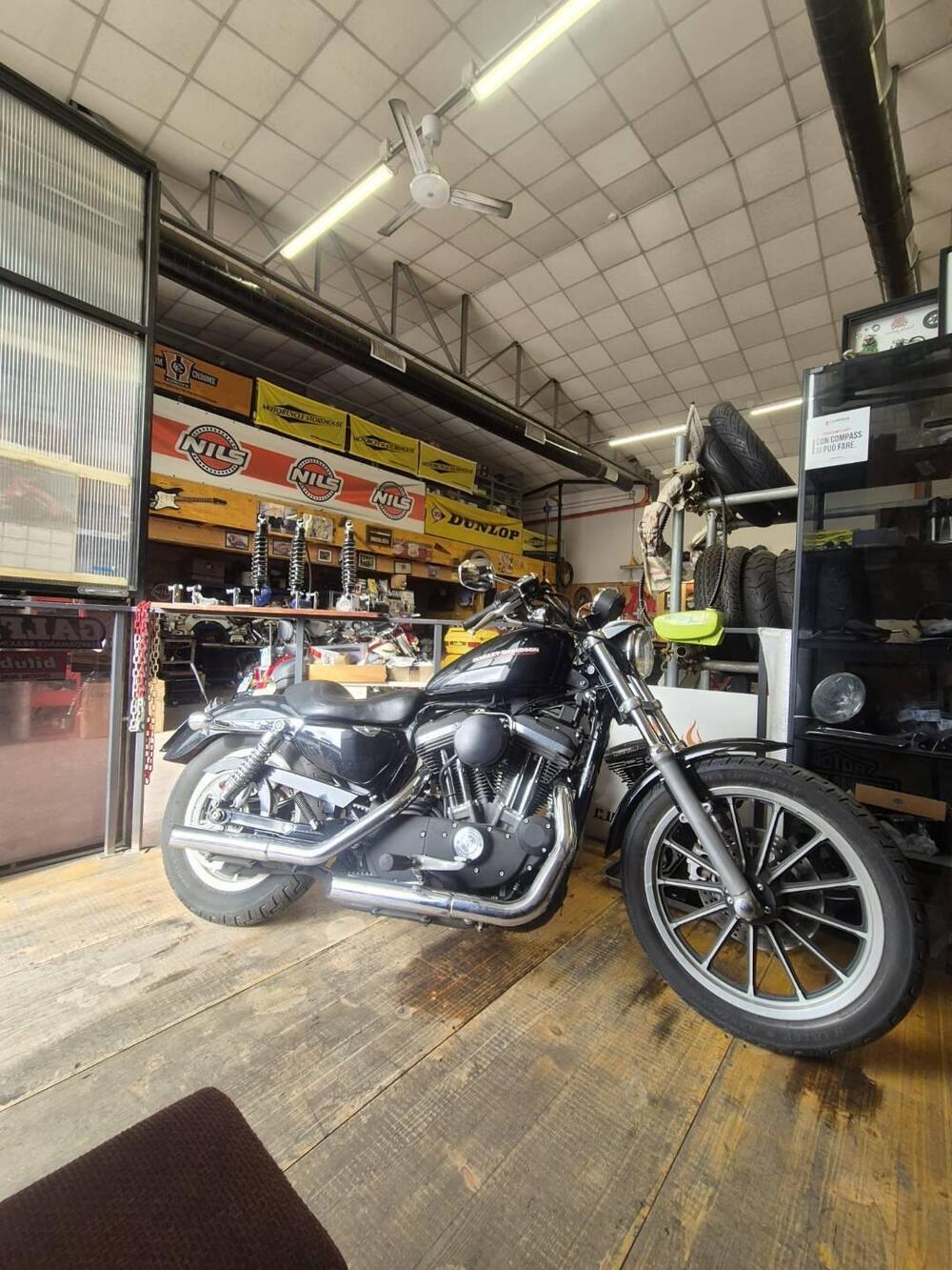 Harley-Davidson 883 Standard (2001 - 05) - XL 883 (4)