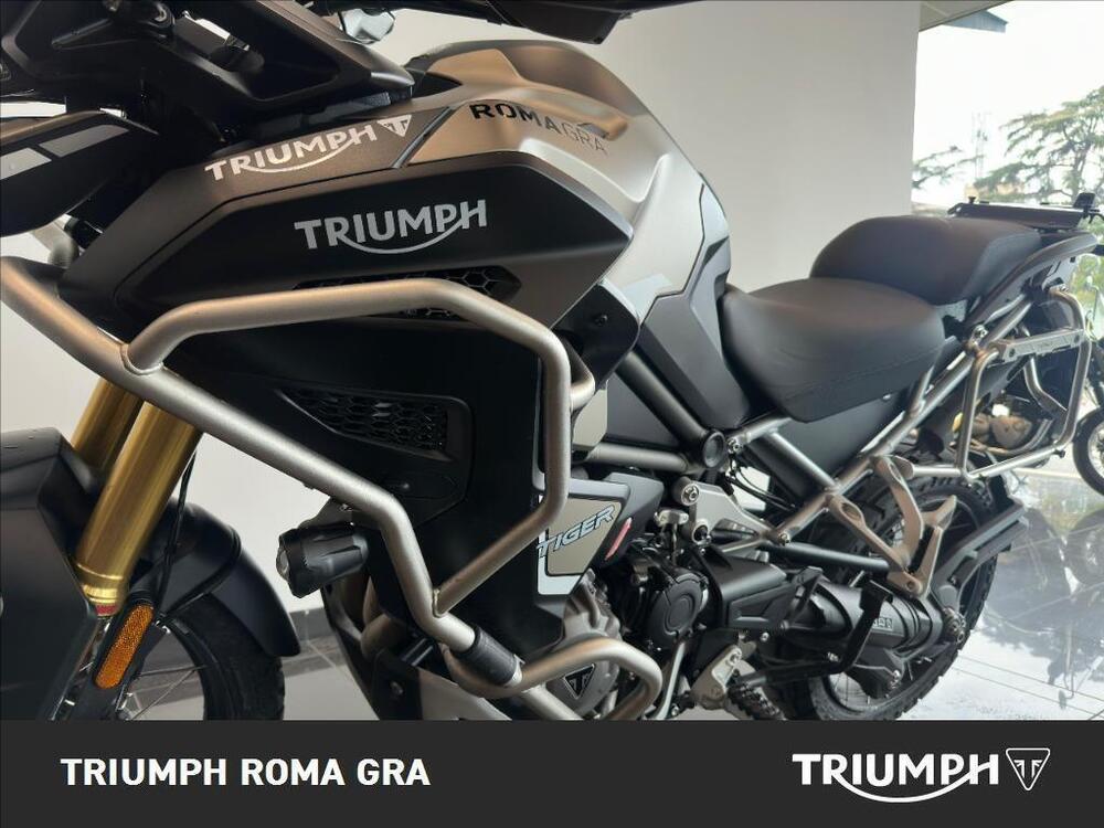 Triumph Tiger 1200 Rally Explorer (2024 - 26) (9)