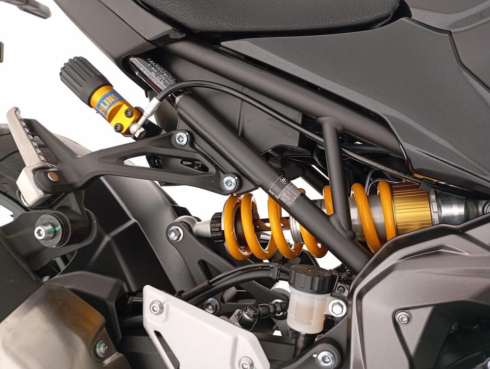 Kawasaki Z 900 SE (2022 - 24) (8)