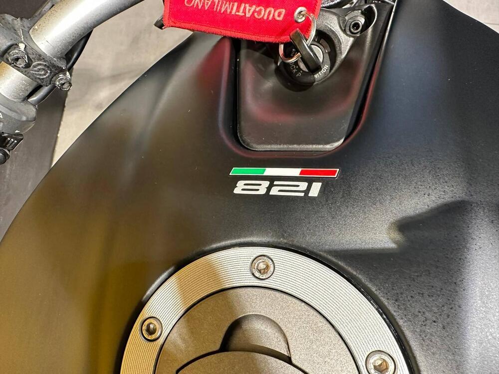 Ducati Monster 821 Dark ABS (2014 - 16) (9)