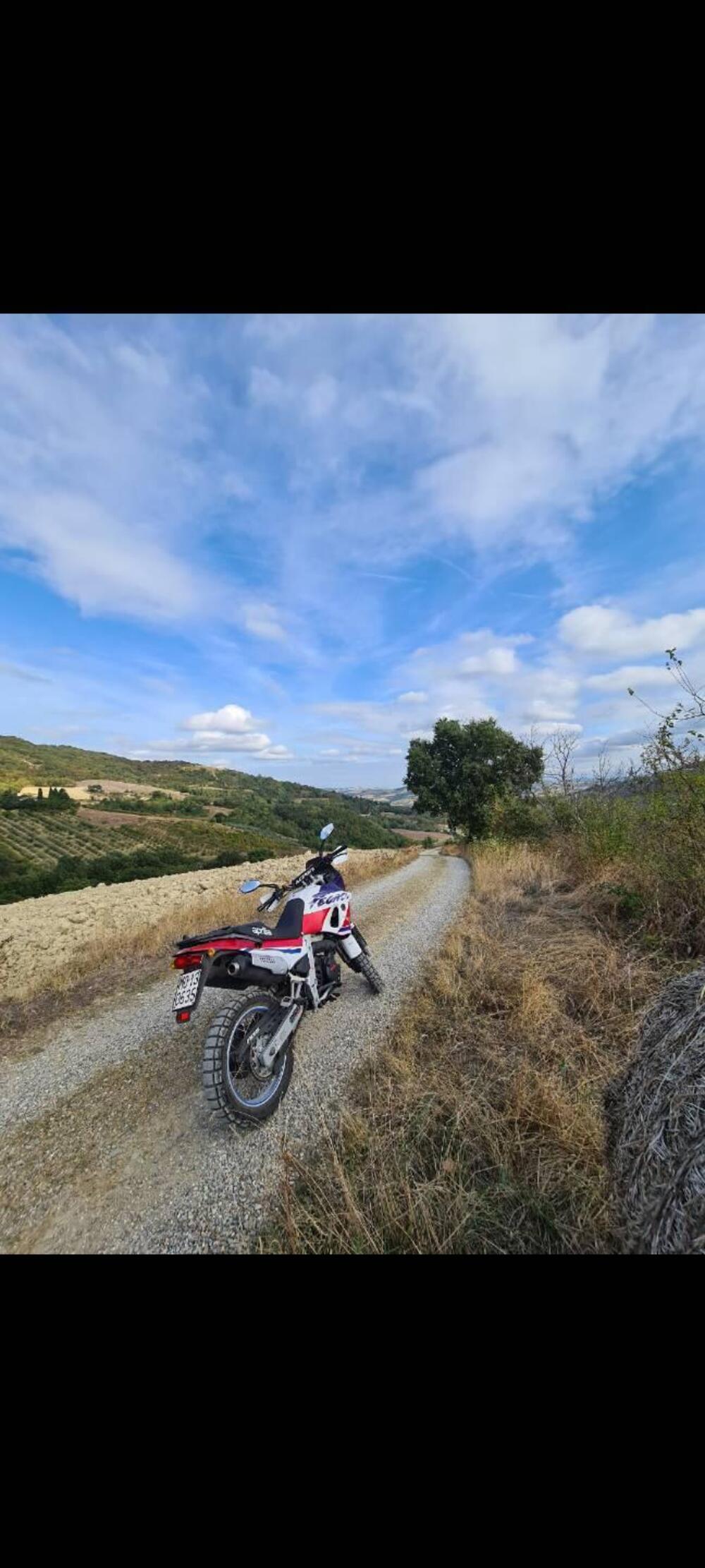 Aprilia Pegaso 650 (1991 - 96) (3)