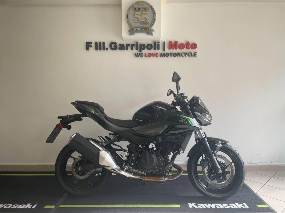 Kawasaki Z 500 (2024 - 26) (2)