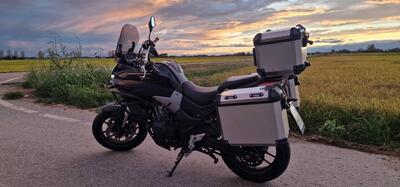 Voge Valico 500DS (2021 - 24) usata