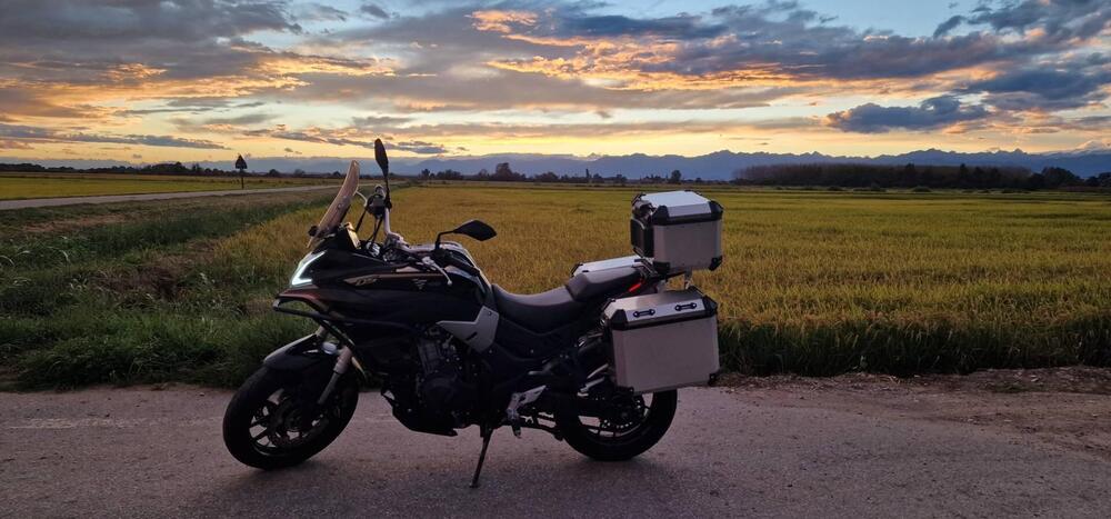 Voge Valico 500DS (2021 - 24) (2)