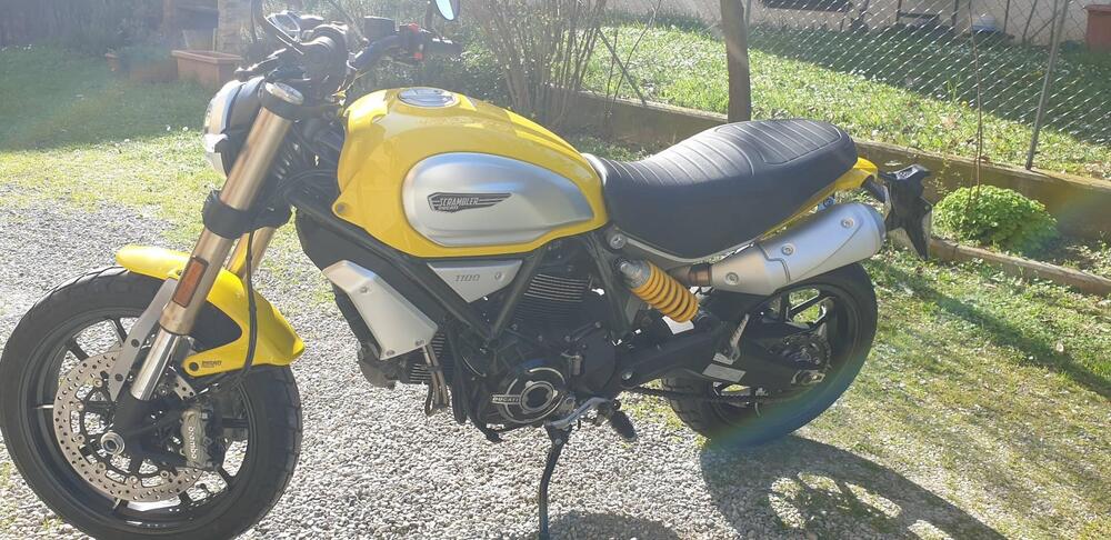 Ducati Scrambler 1100 (2018 - 20)