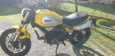 Ducati Scrambler 1100 (2018 - 20) usata