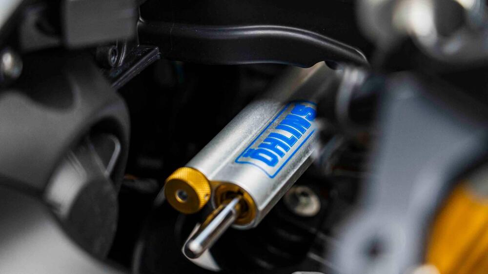 Aprilia RSV4 RF (2017 - 19) (16)