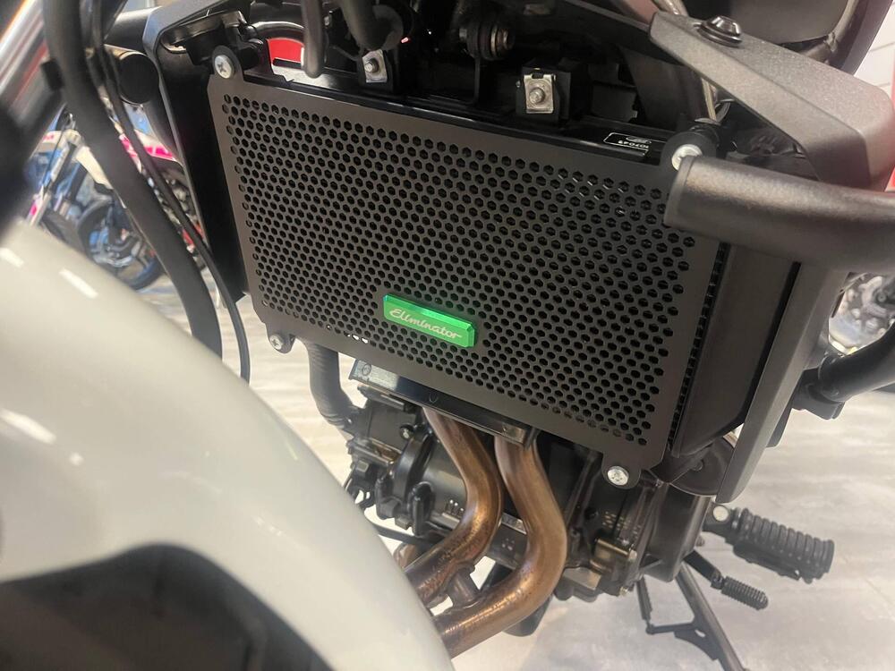 Kawasaki Eliminator 500 (2024 - 26) (9)