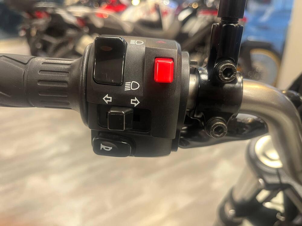 Kawasaki Eliminator 500 (2024 - 26) (12)