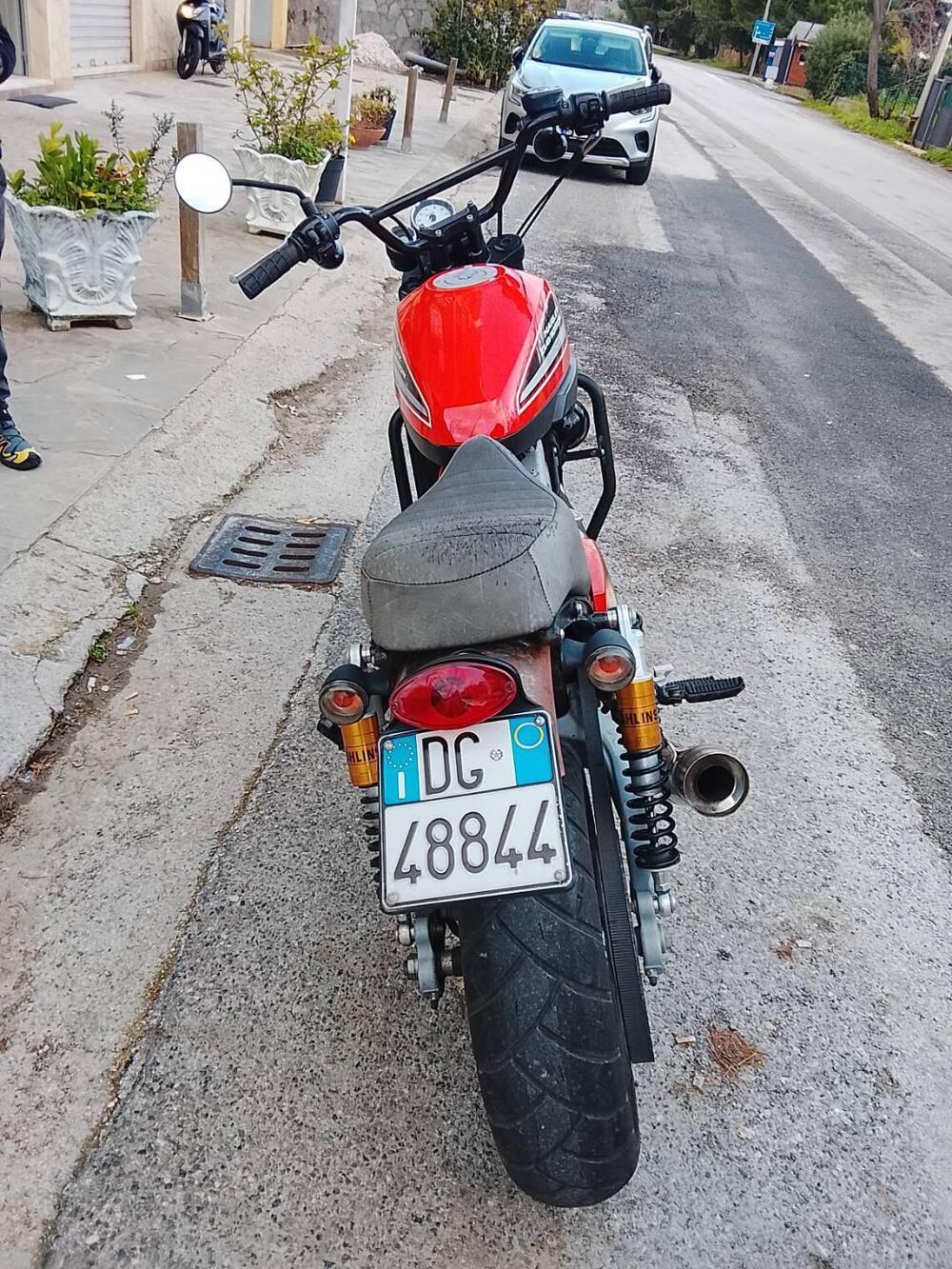 Harley-Davidson 1200 XR (2009 - 12) (3)