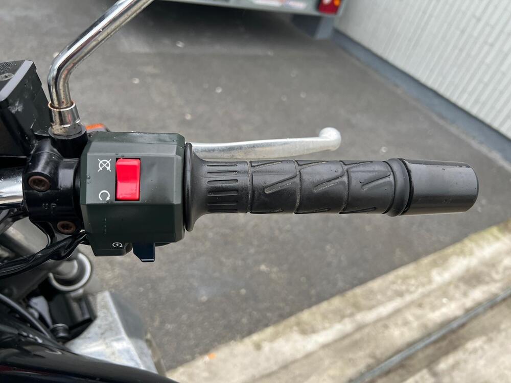 Kawasaki ER-5 500 (2001 - 06) (11)