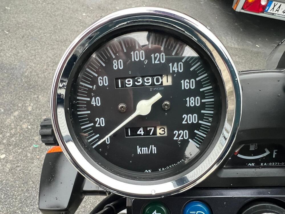 Kawasaki ER-5 500 (2001 - 06) (6)