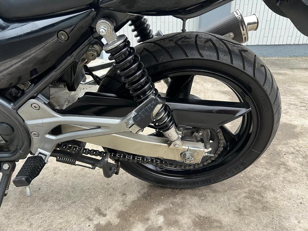 Kawasaki ER-5 500 (2001 - 06) (16)