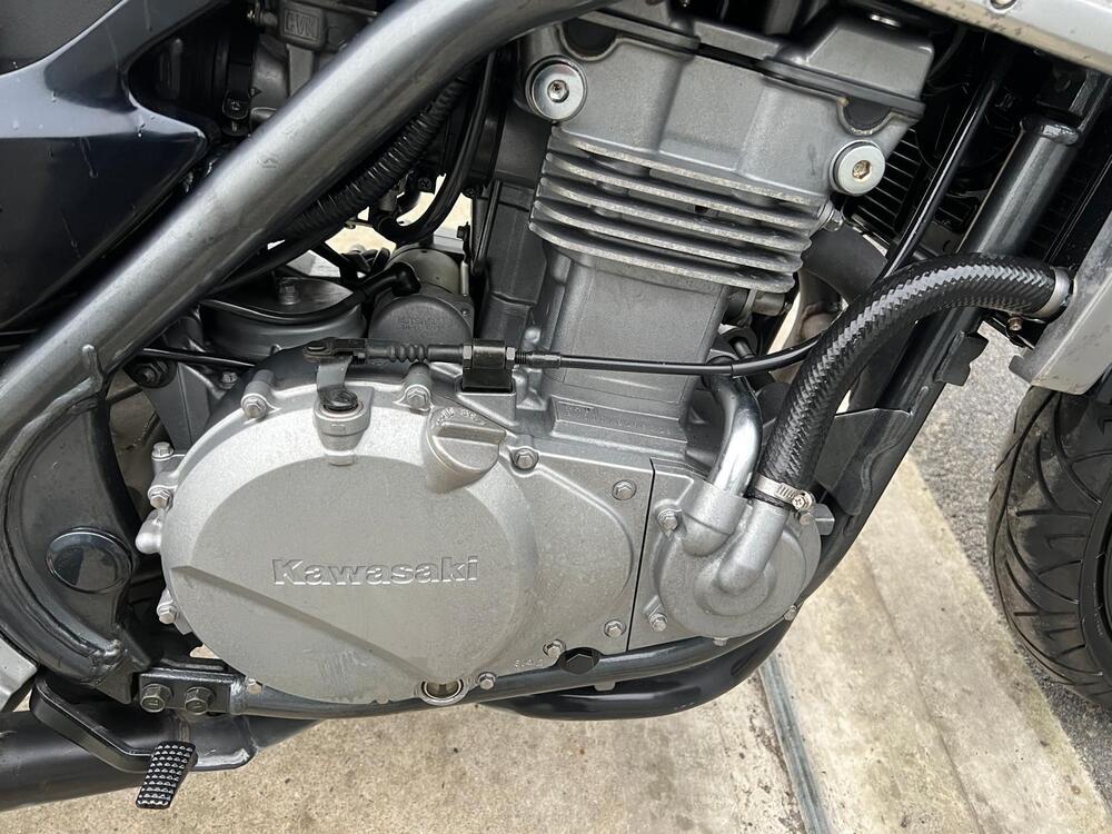 Kawasaki ER-5 500 (2001 - 06) (13)