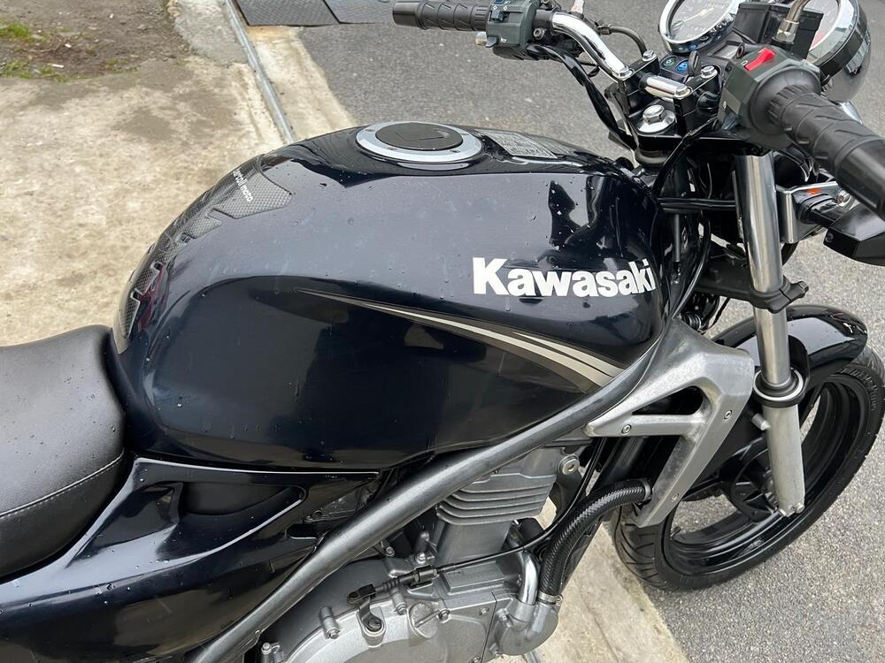 Kawasaki ER-5 500 (2001 - 06) (8)