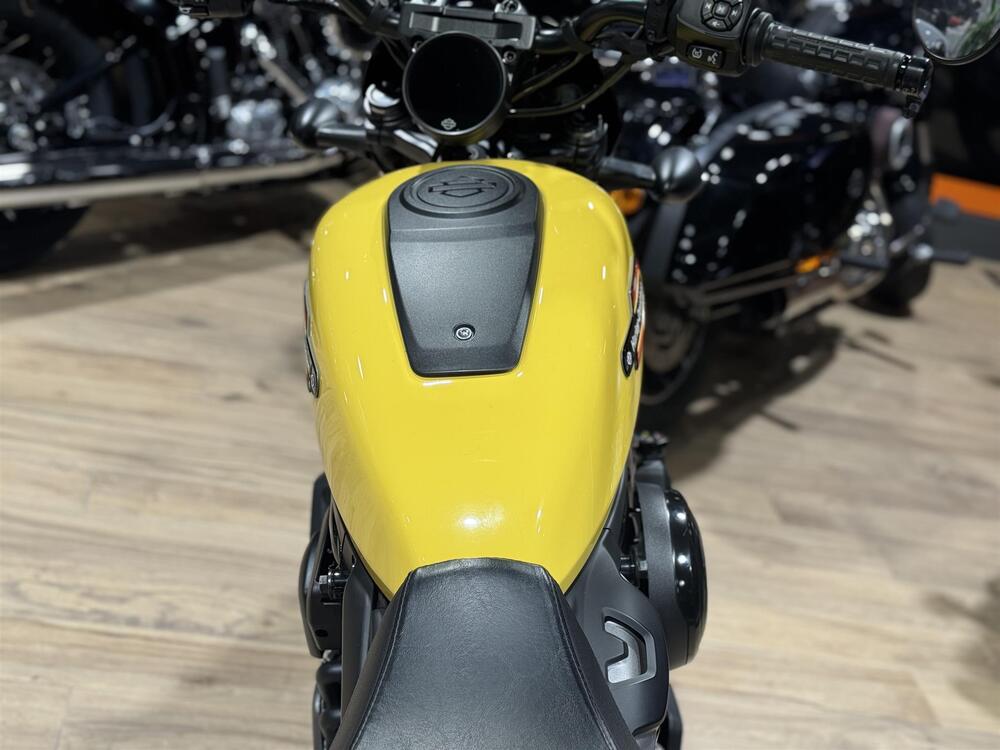 Harley-Davidson Nightster Special (2023 - 26) (2)