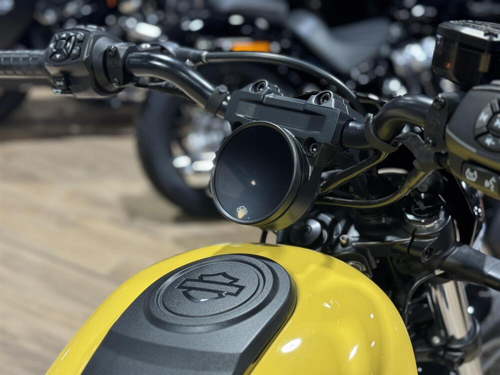 Harley-Davidson Nightster Special (2023 - 26) (4)