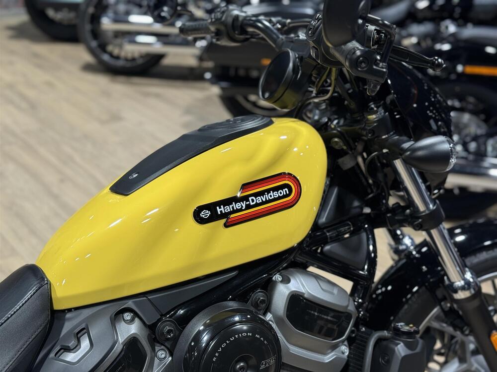 Harley-Davidson Nightster Special (2023 - 26) (3)