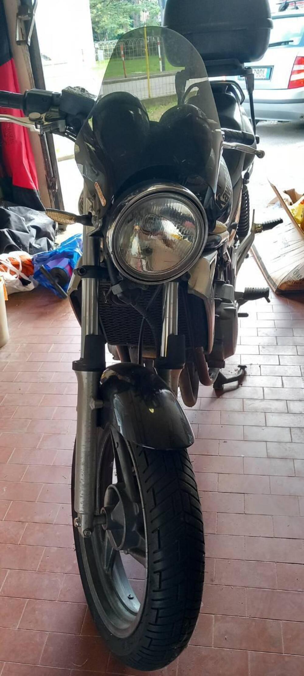 Kawasaki ER-5 500 (2001 - 06) (5)