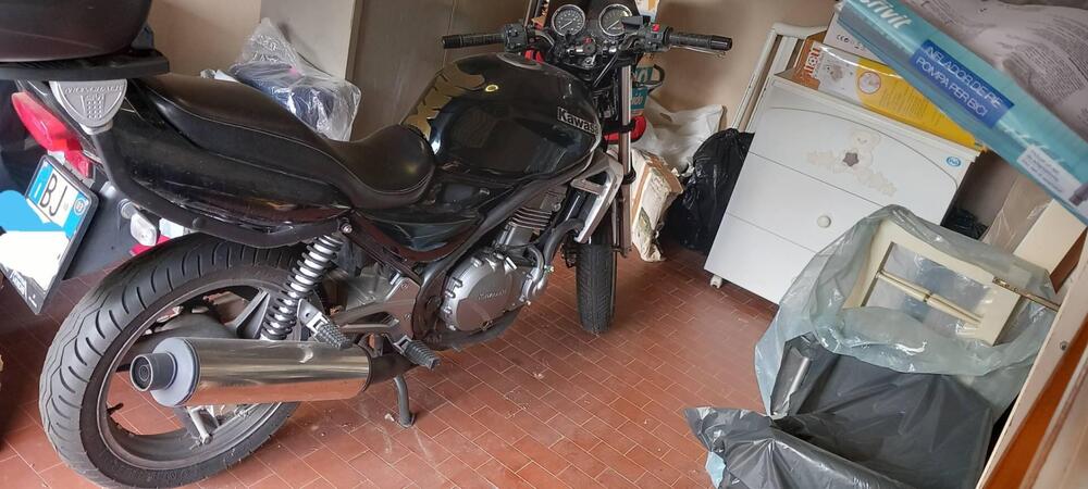 Kawasaki ER-5 500 (2001 - 06) (6)