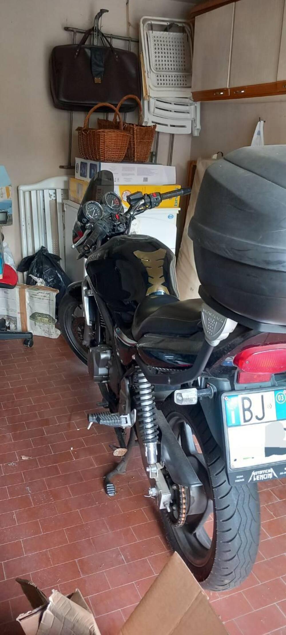 Kawasaki ER-5 500 (2001 - 06) (7)