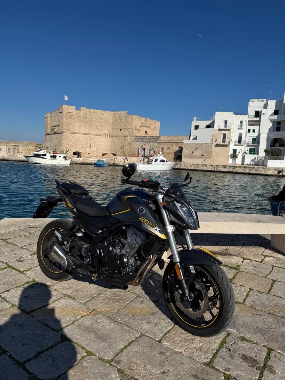 Voge Brivido 500R (2021 - 24) (5)