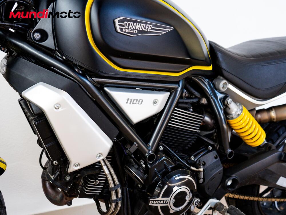 Ducati Scrambler 1100 Pro (2020 - 22) (7)