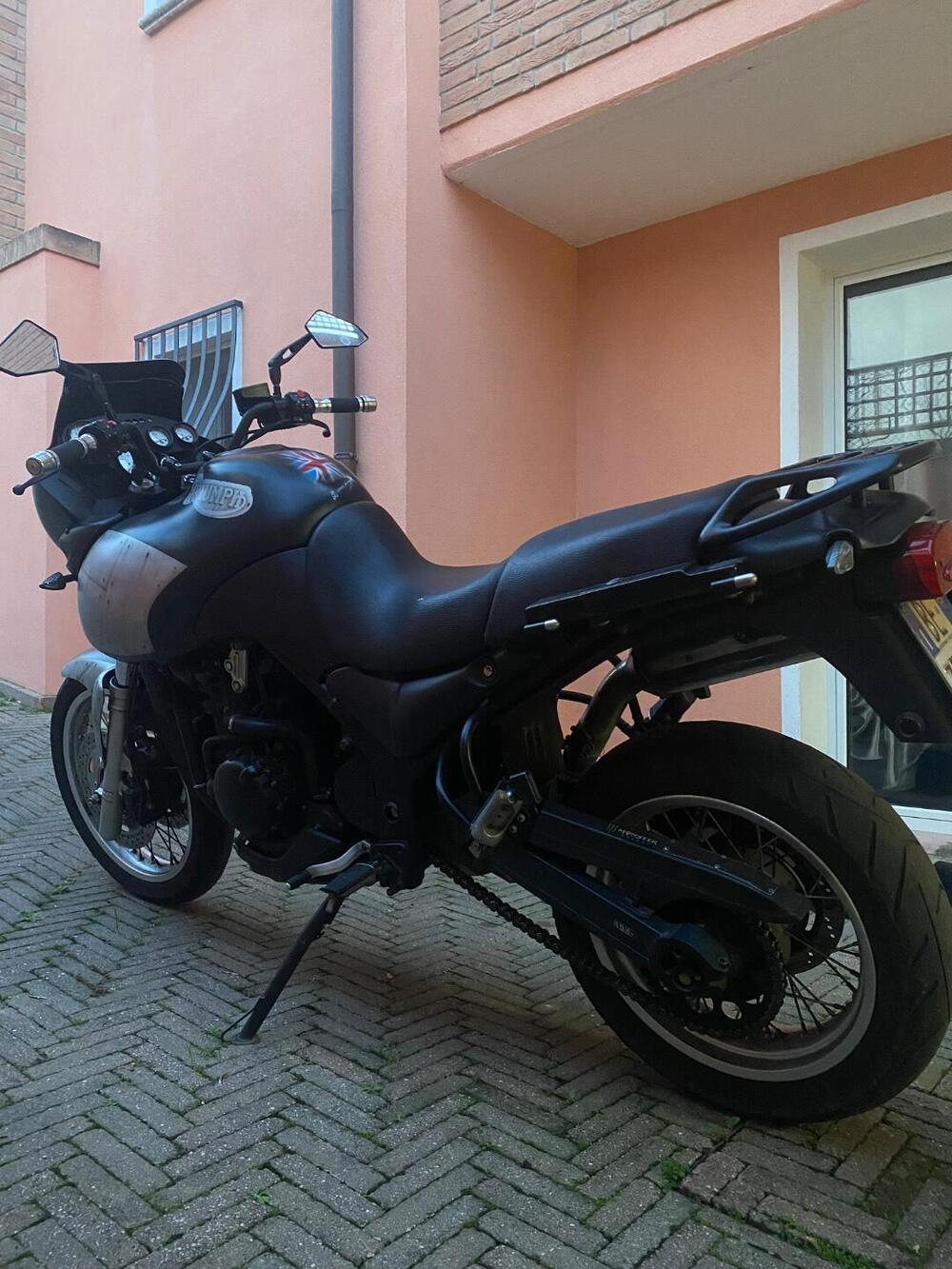 Triumph Tiger 955 (2002 - 06) (4)