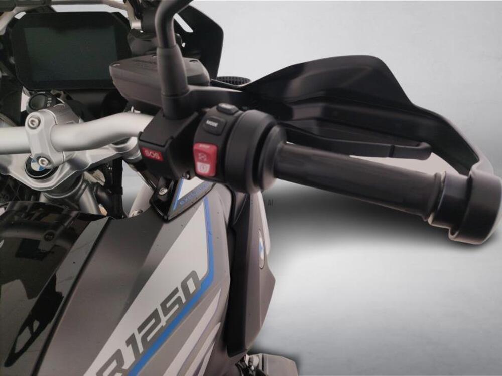 Bmw R 1250 GS (2019 - 20) (9)