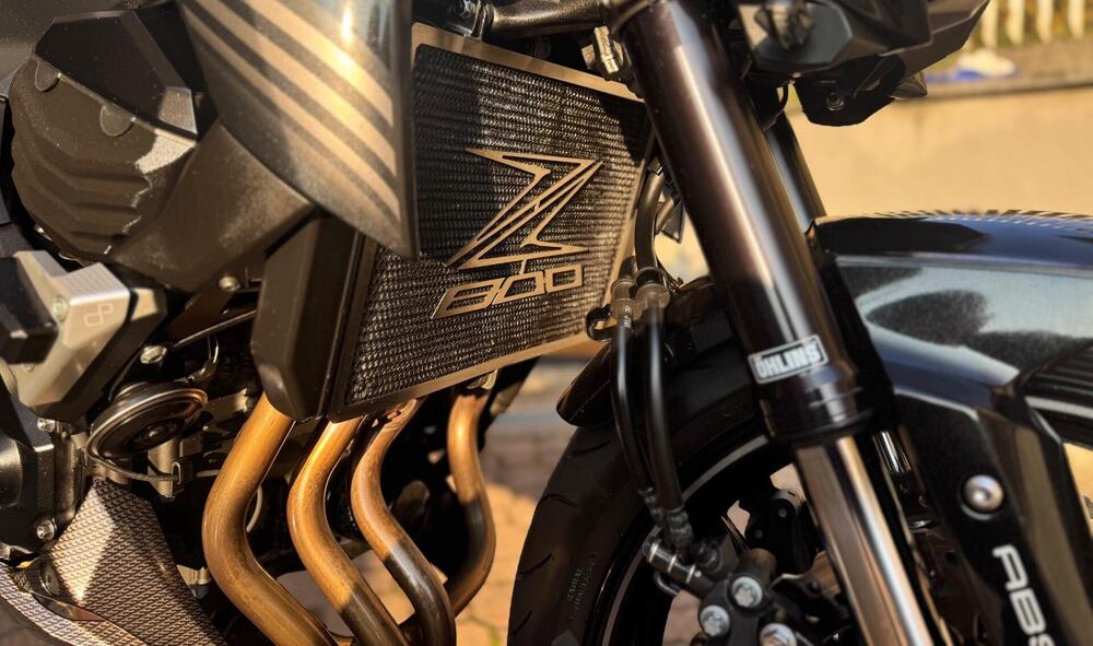 Kawasaki Z 800 e ABS (2012 - 16) (16)