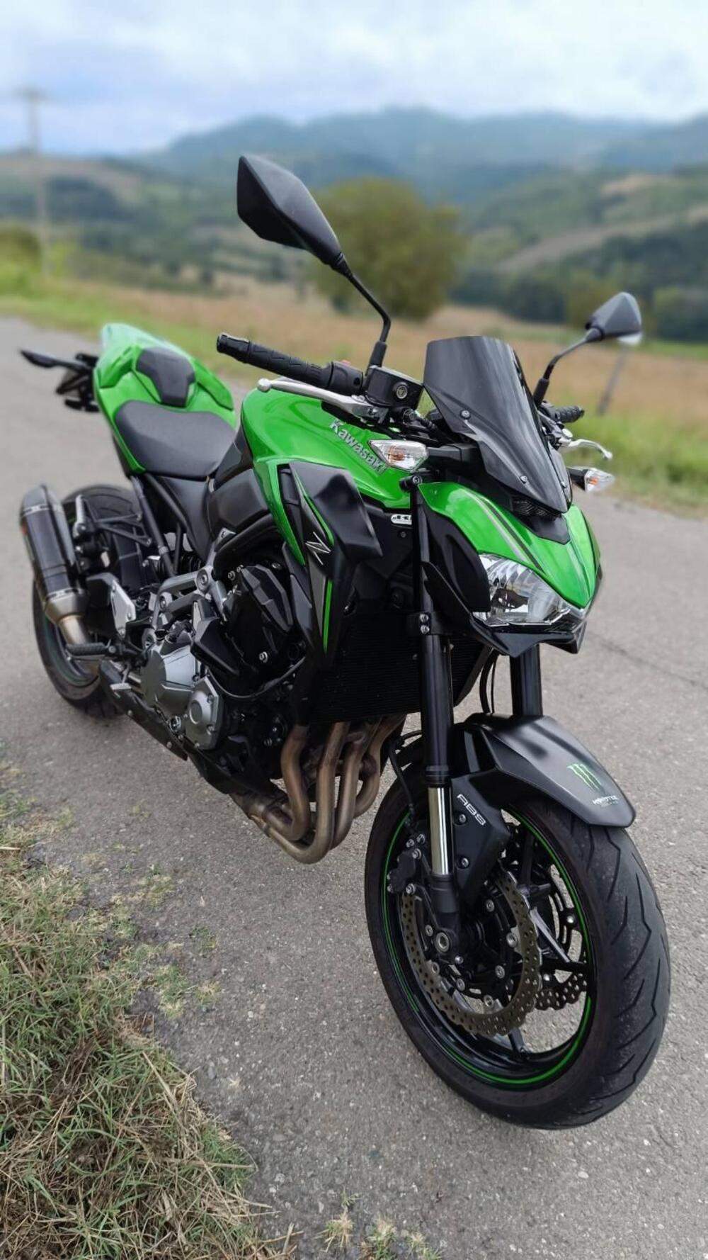 Kawasaki Z 900 (2017 - 18) (2)