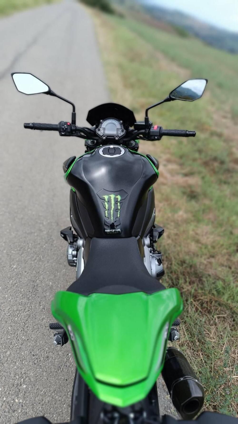 Kawasaki Z 900 (2017 - 18) (6)