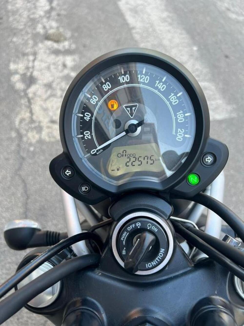 Triumph Street Scrambler 900 (2017 - 18) (9)