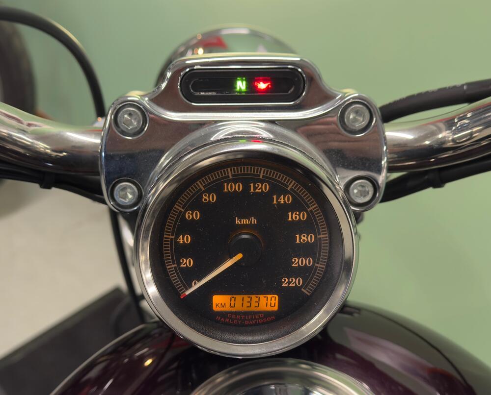 Harley-Davidson 1200 Custom (2004 - 06) - XL 1200C (9)