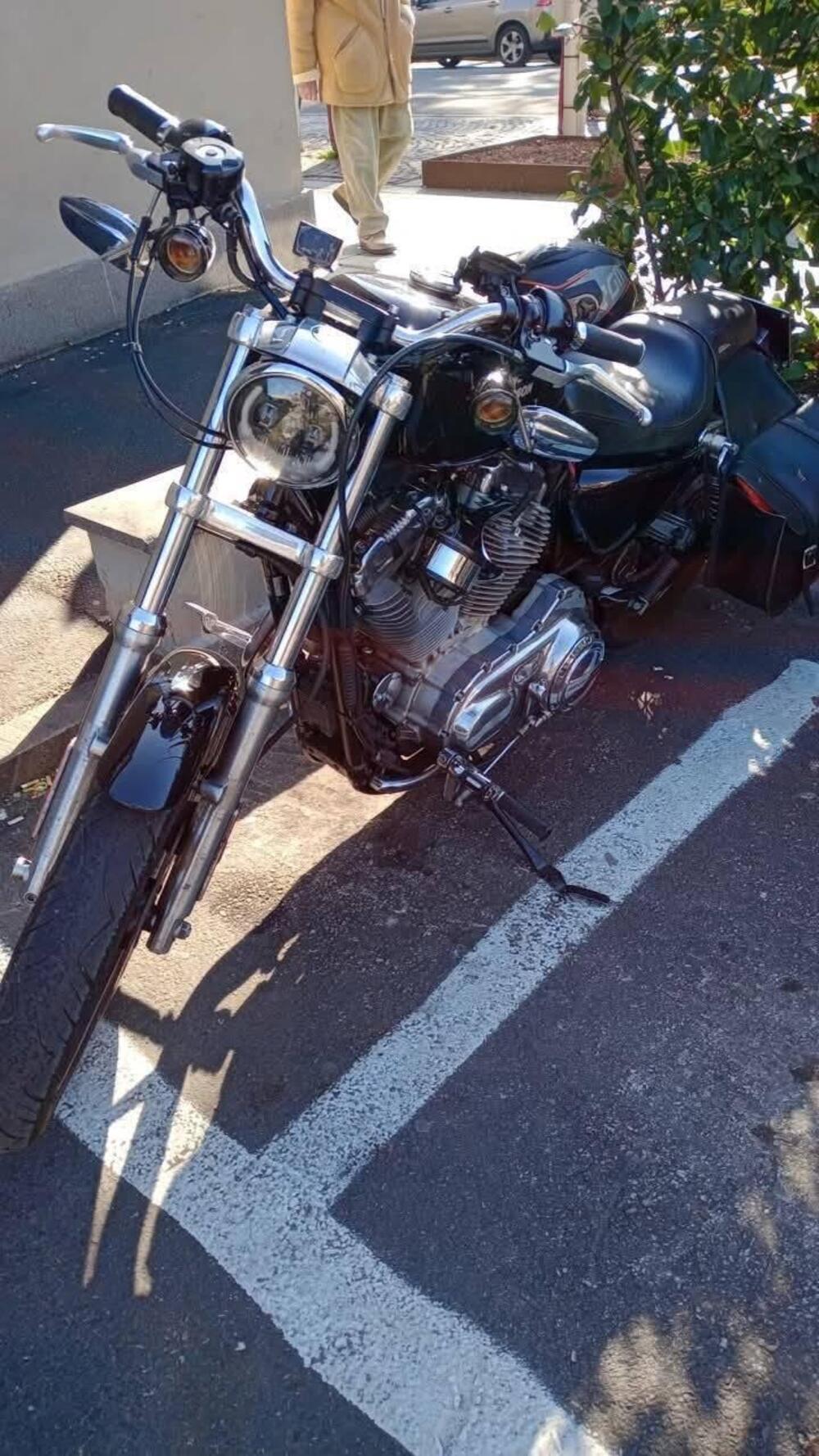 Harley-Davidson 883 Custom (2006 - 07) - XL 883C (8)