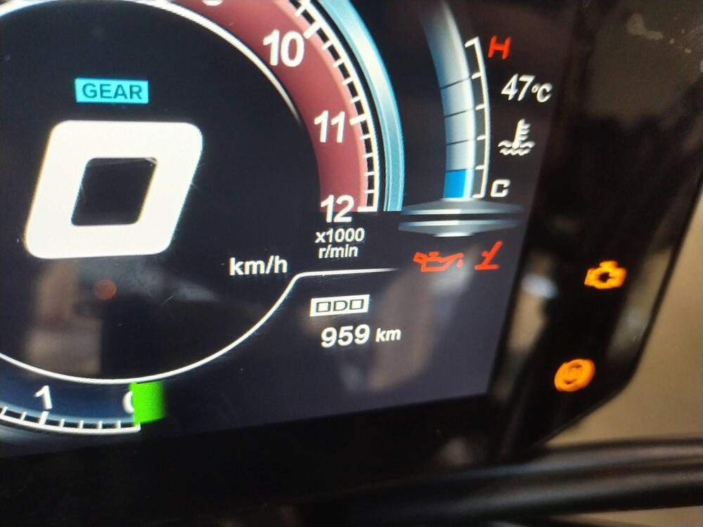 Voge Trofeo 525ACX Scrambler (2023 - 26) (7)