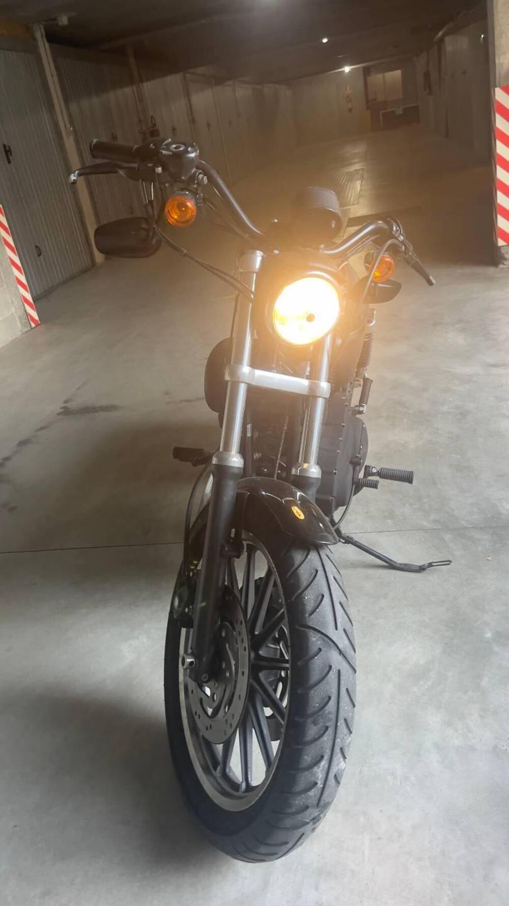 Harley-Davidson 883 R (2008 - 16) - XL 883R (8)