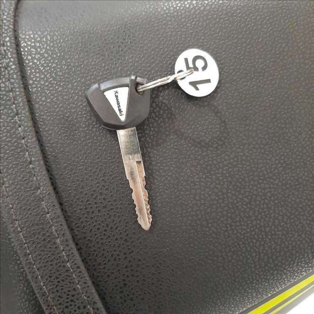 Kawasaki Z 650 (2017 - 19) (12)