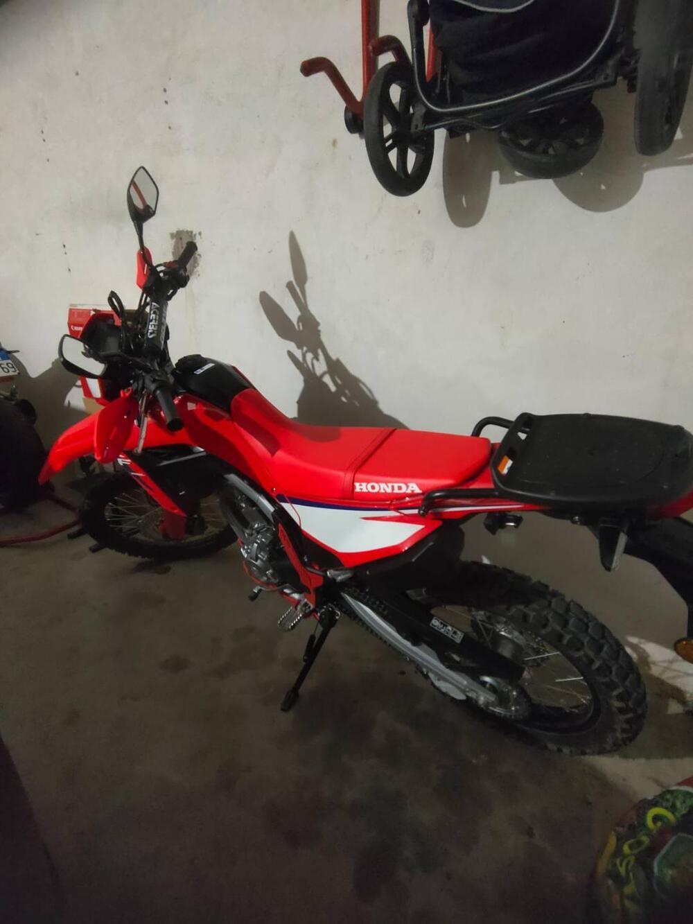 Honda CRF 300 L (2025 - 26)