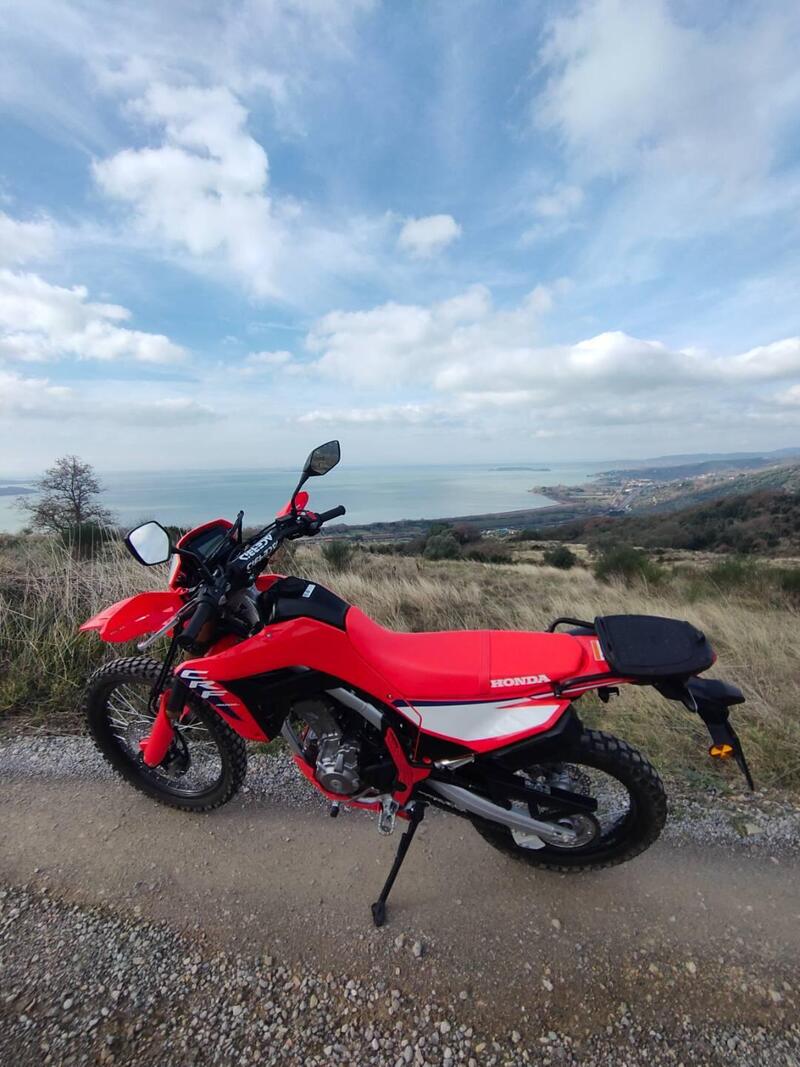 Honda CRF 300L (2025 - 26) (4)