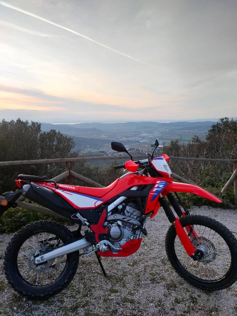 Honda CRF 300L (2025 - 26) (5)