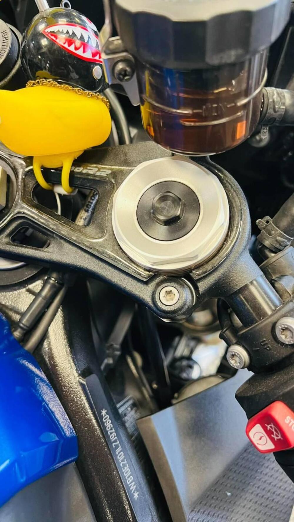 Bmw S 1000 RR (2019 - 20) (7)