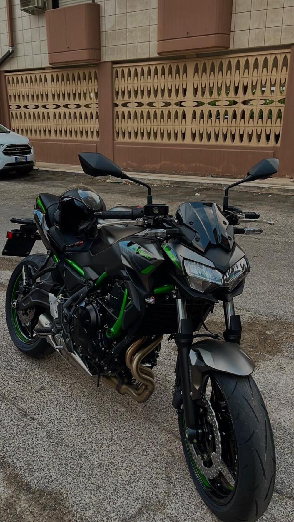 Kawasaki Z 650 Performance (2021 - 24)