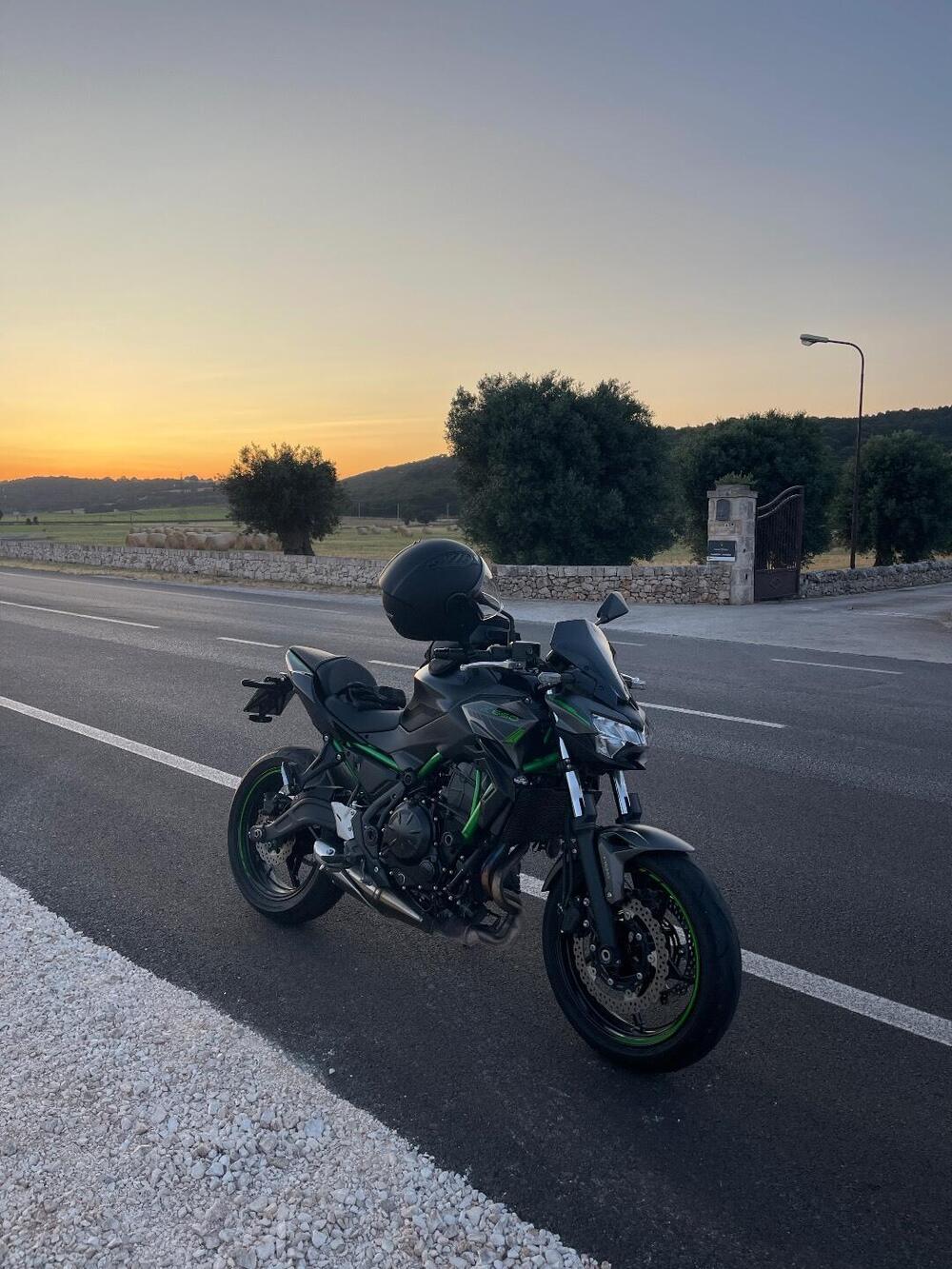 Kawasaki Z 650 Performance (2021 - 24) (5)