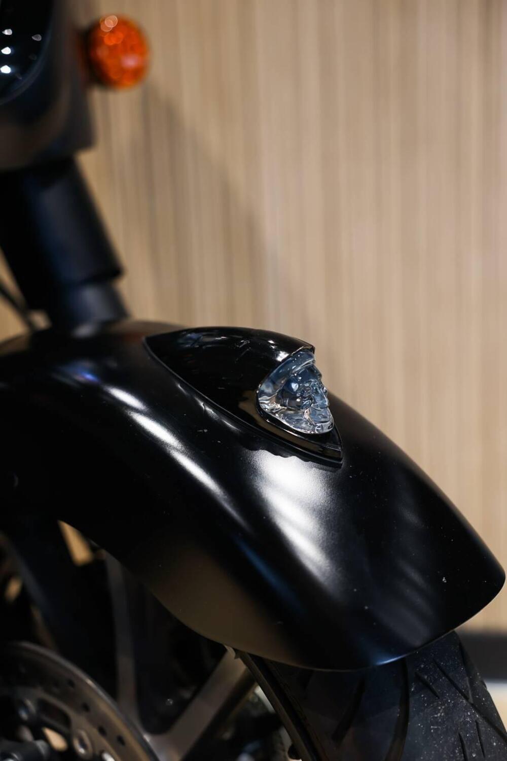 Indian Chieftain Dark Horse (2019 - 20) (12)