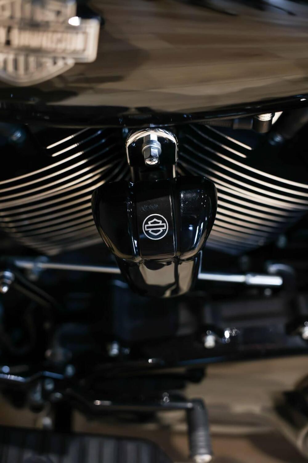 Harley-Davidson Street Glide Special (2021 - 23) (8)