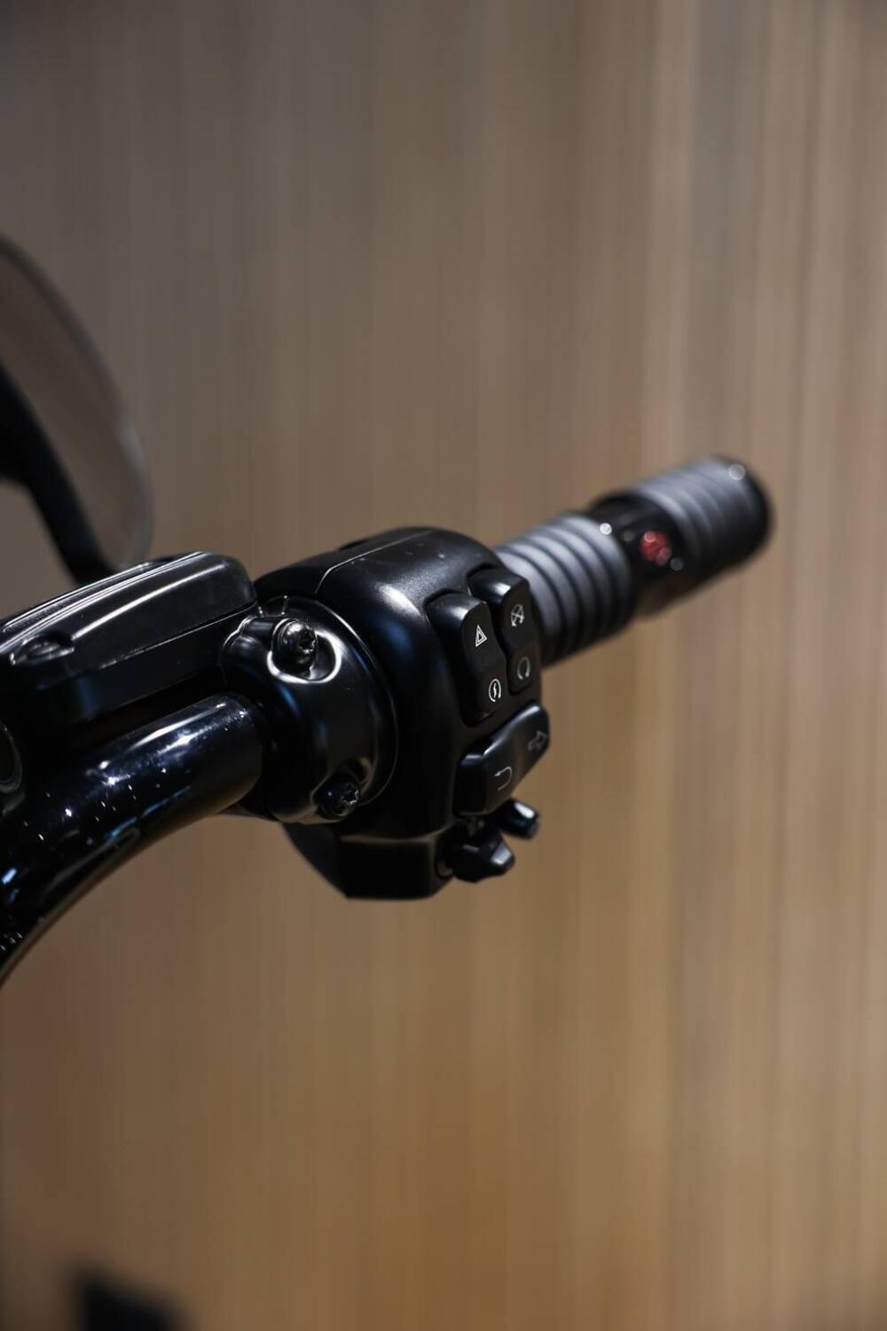 Harley-Davidson Street Glide Special (2021 - 23) (14)