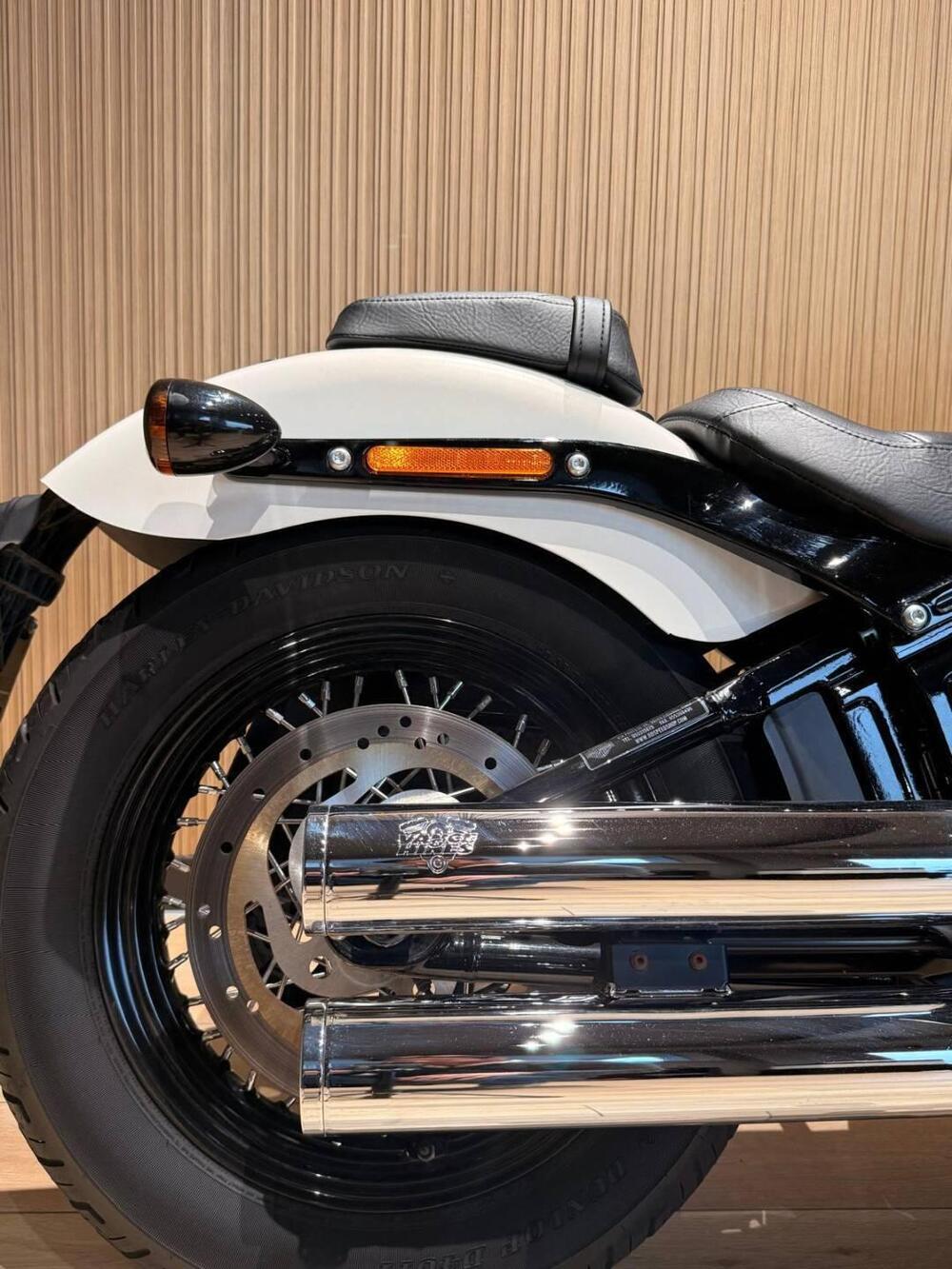 Harley-Davidson 107 Slim (2018 - 20) - FLSL (5)