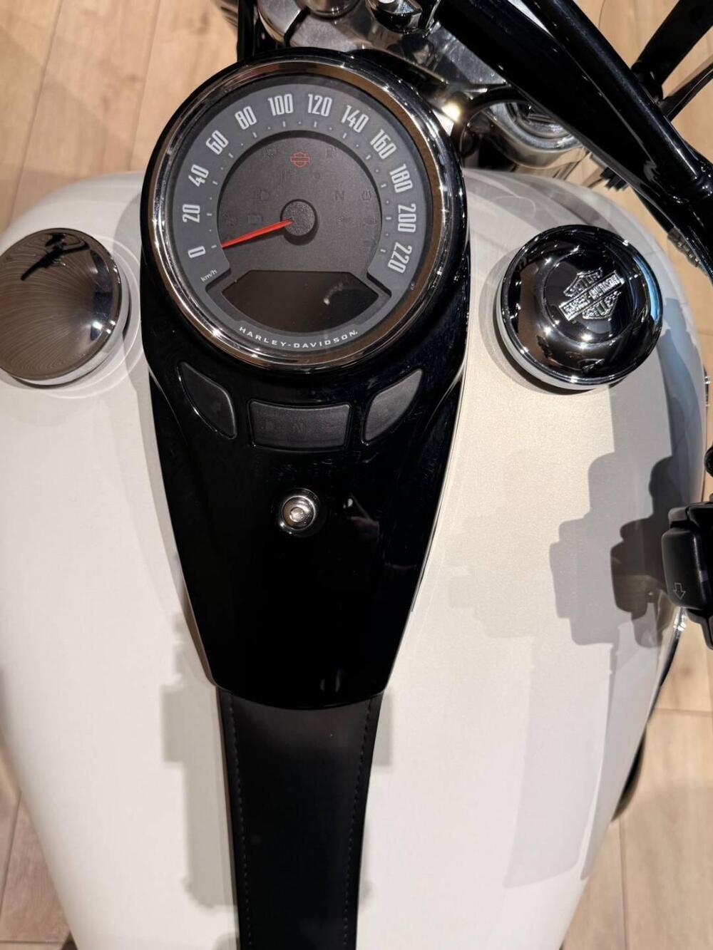 Harley-Davidson 107 Slim (2018 - 20) - FLSL (7)